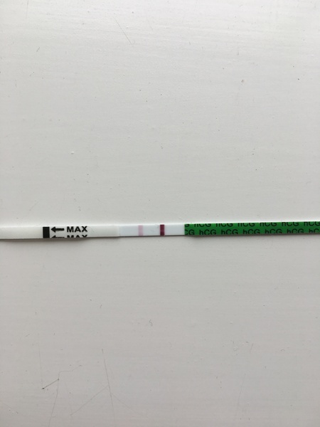 Abortion on the 17/1 and positive pregnancy test?