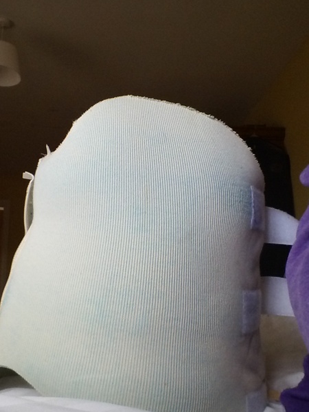 Styling a back brace