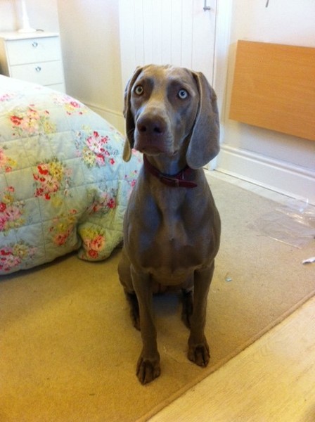 Week 6 - Low Carb Bootcamp - welcome to part 2