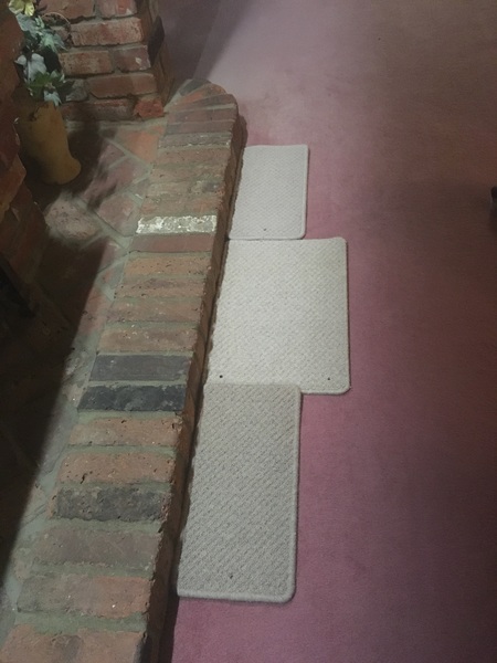Carpet colour dilemma