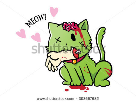 to want to rehome my elderly cat?