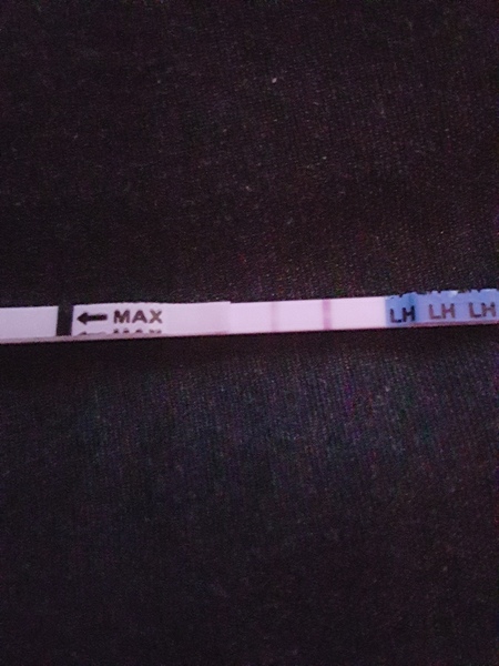 Is this a positive ovulation strip?