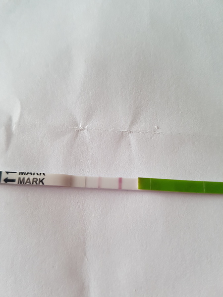 Opk results