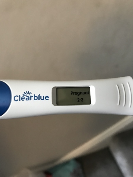 October 2018 baby bus