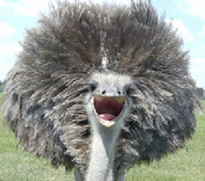 My eyes!!! AIBU to scrub my eyes with wire wool after seeing this.