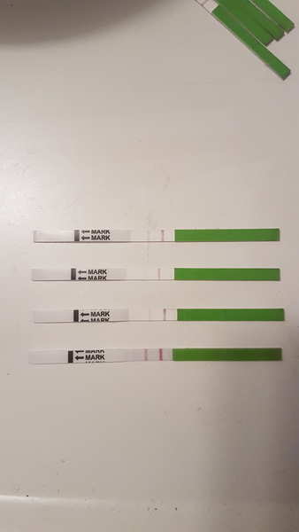 Feb Bus! Fingers crossed