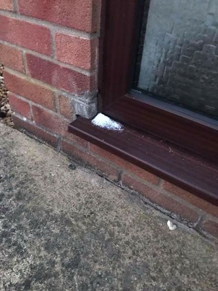 To tell everyone to calm the fuck down?