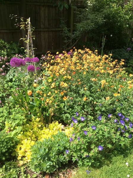 Complete beginner with a garden for the first time