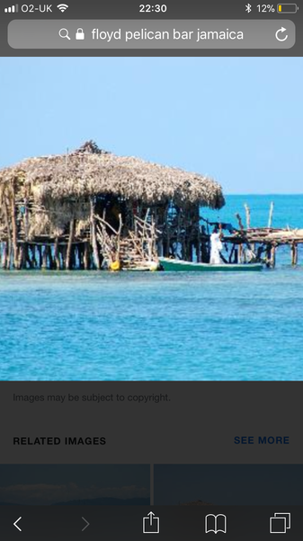 Rustic tropical beach bars.
