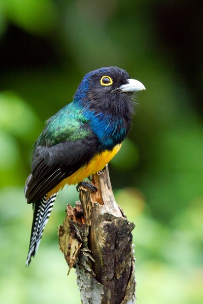 February Frugaleers United in Saving Money, Swapping Recipes & Supporting each other in finance, friendship & family life : )