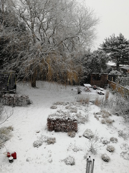 Snow watch part 3 Feb/March 2018