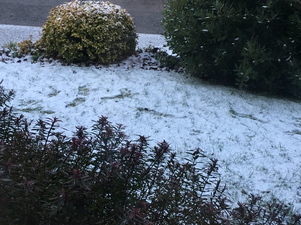 Snow watch part 3 Feb/March 2018