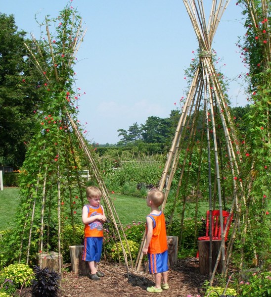 To Ask you help me plan my garden?