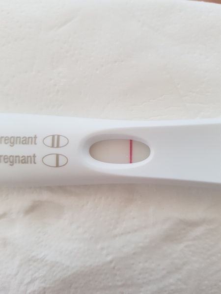 Possible evap line on FRER?