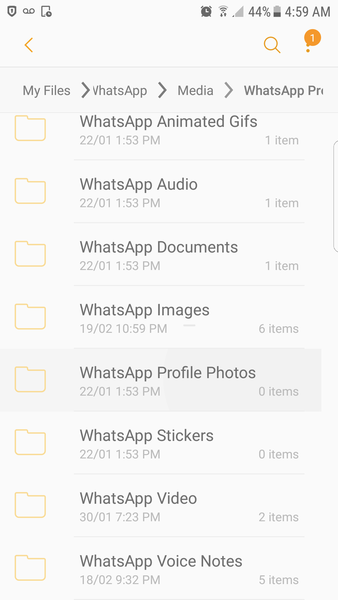 Cheating husband? Help with WhatsApp please!