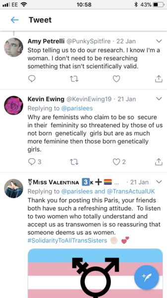 If you're pro Self ID for trans people please could you explain it to me?