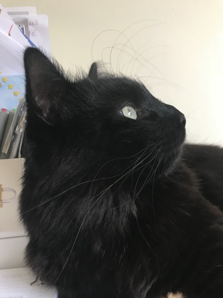 He's Just so Gorgeous!