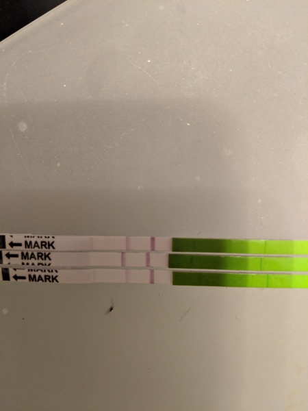 Positive OPK?