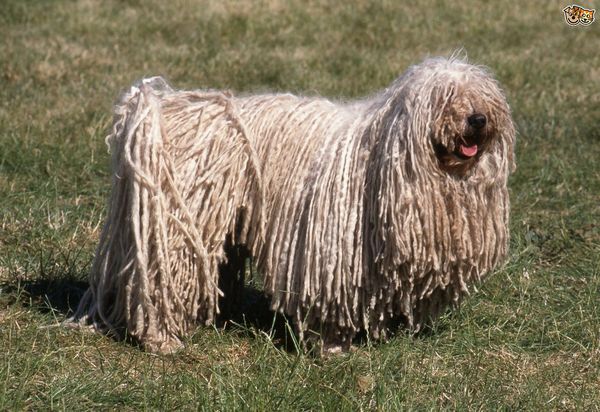 My eyes!!! AIBU to scrub my eyes with wire wool after seeing this.