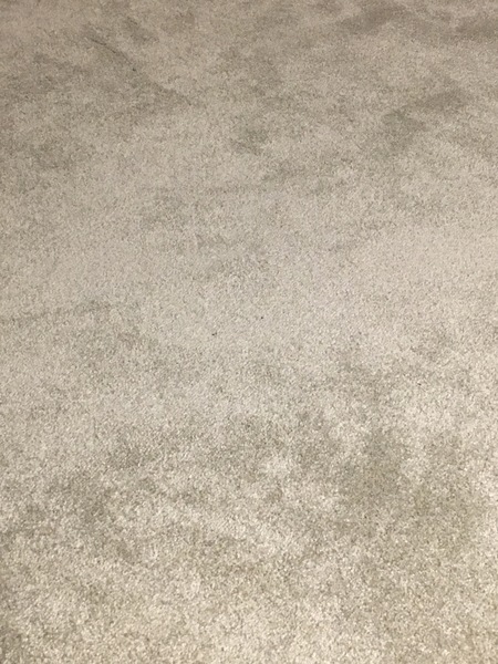If you have a carpet in your living room what colour is it?