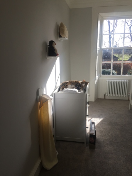 Show me your Farrow and Ball