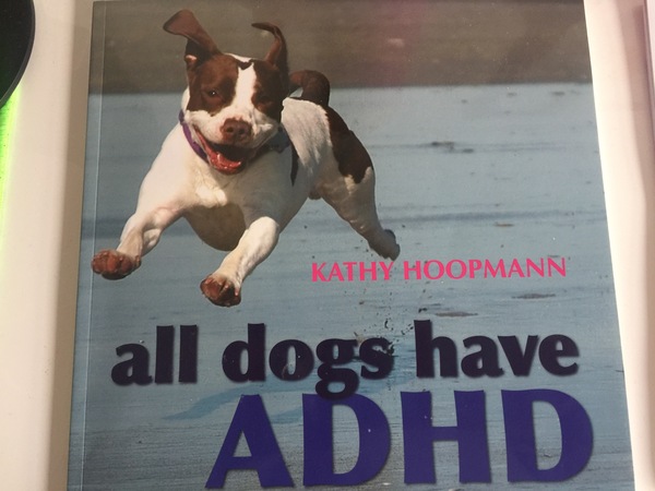 Books about ASD/ADHD for kids