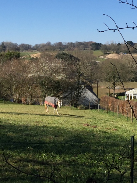 Money Saving Marches on....frugal living, friendly chat, no judgment