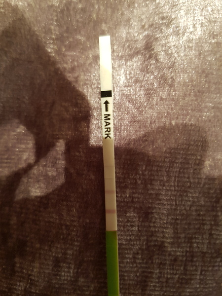 Looking for a buddy, TTC #1 after MC