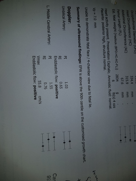 Hyperemesis Support