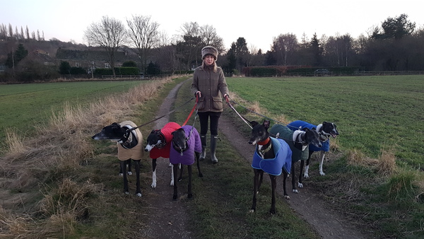 Name for new greyhound