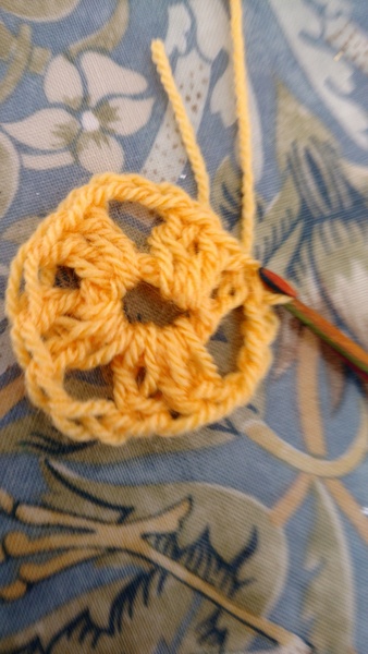 Crochet Beginner for Woolly Hug