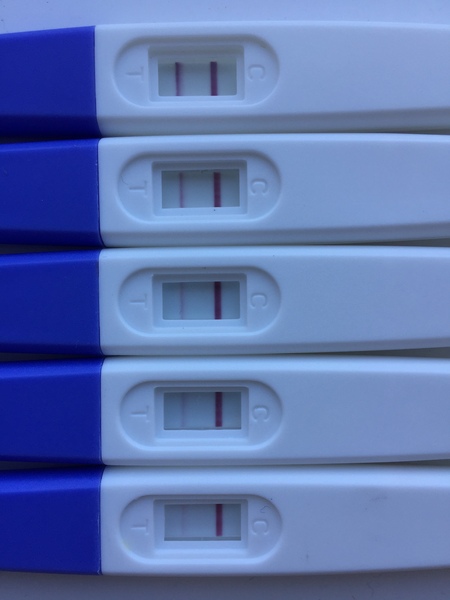 Ovulation after miscarriage. HELP!!!