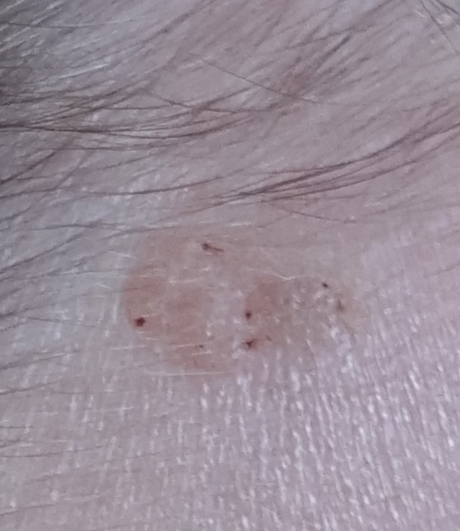 What is this? (Pic included)