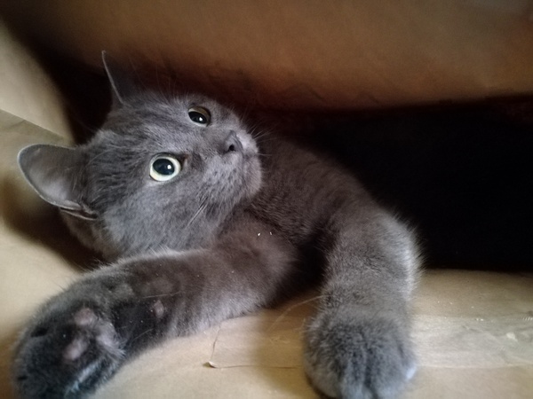 He's Just so Gorgeous!