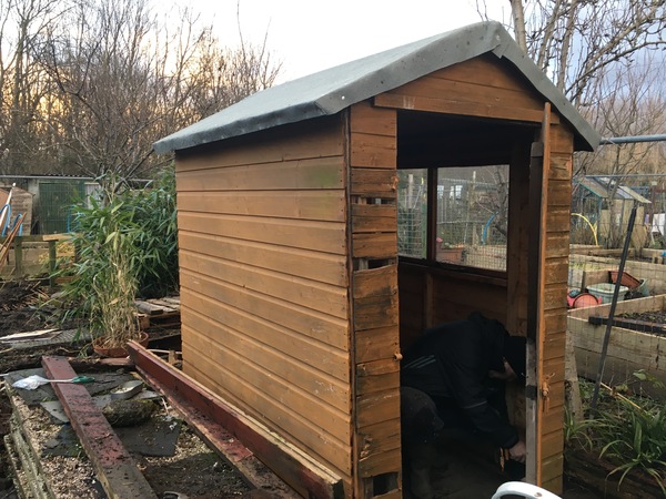 Allotment/Veg patch thread 11 'We bid  farewell to rainbow leaves but will keep plotting along'