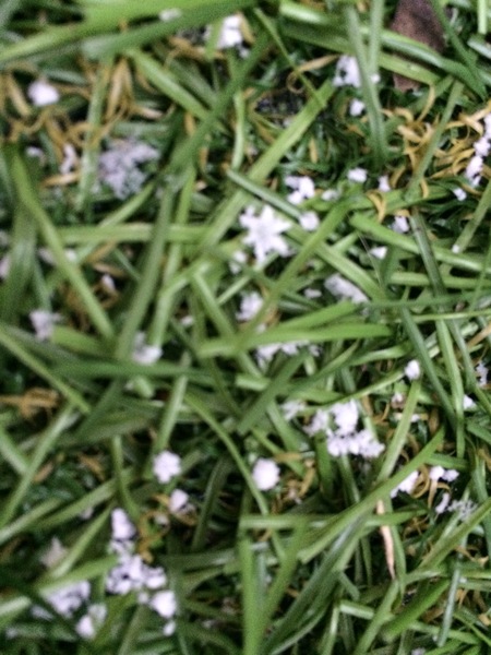 Snow watch part 3 Feb/March 2018