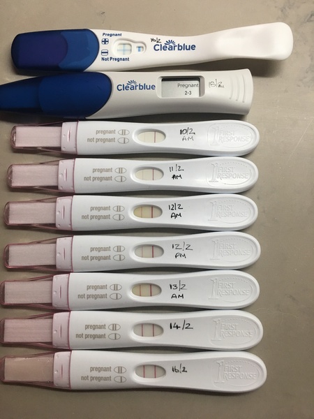 October 2018 baby bus