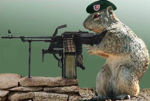 Why can’t America ban automatic weapons?