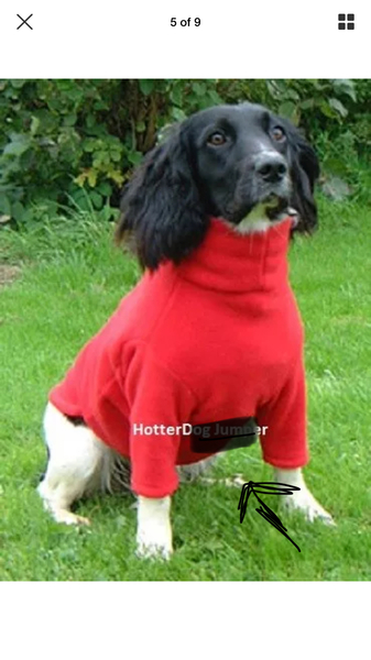 Sewers... help please!