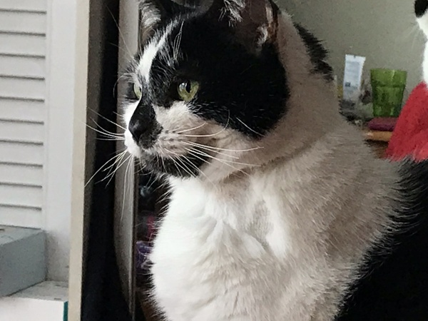 Harry's Results