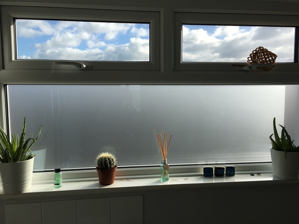 My bathroom window - WWYD?