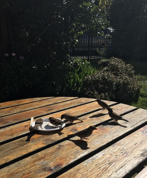 Northumberland where to visit! Seahouses etc.