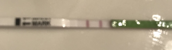 Thread 6 PCOS support