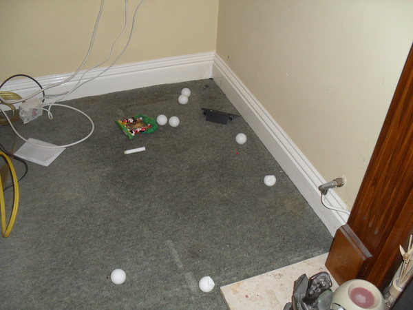 One toy mouse found for PB........