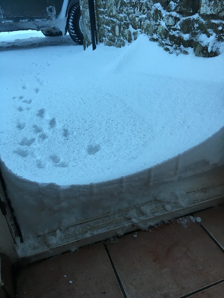 Snow watch part 3 Feb/March 2018