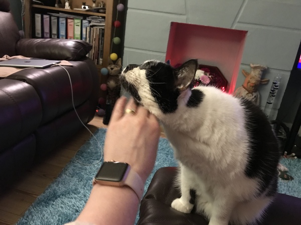 Harry's Results