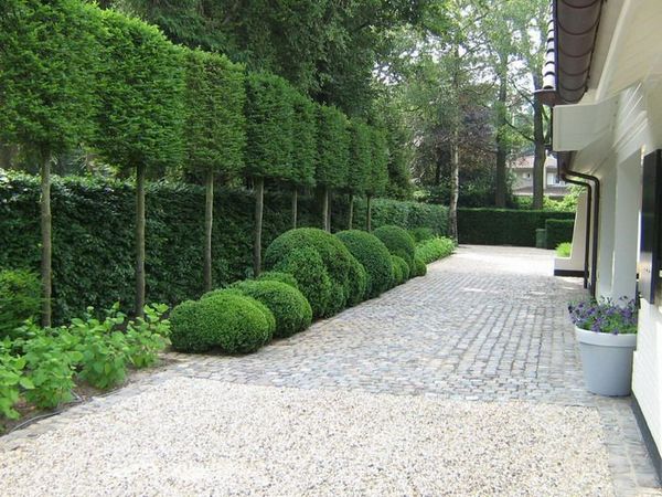 Fences inside the garden?