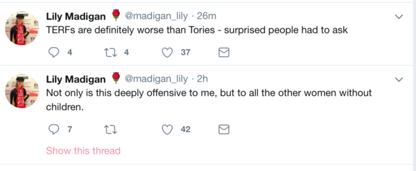 To think Labours Lily Madigan is really just trolling?