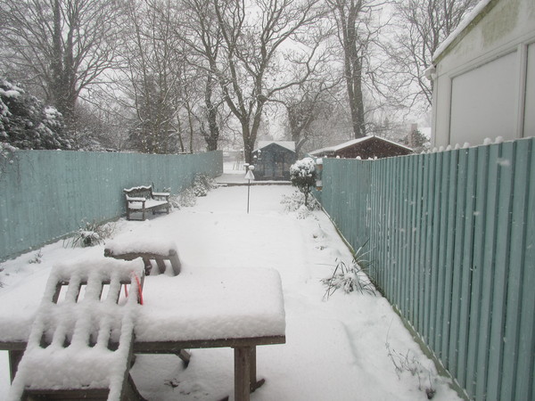 Week 8 - Low Carb Bootcamp - lucky number for some!