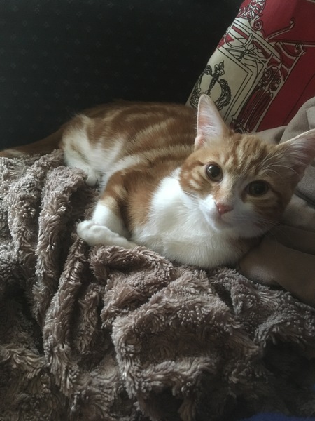 He's Just so Gorgeous!